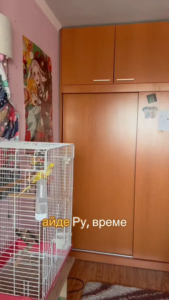 Jivotinka.com – Продуктова демонстрация